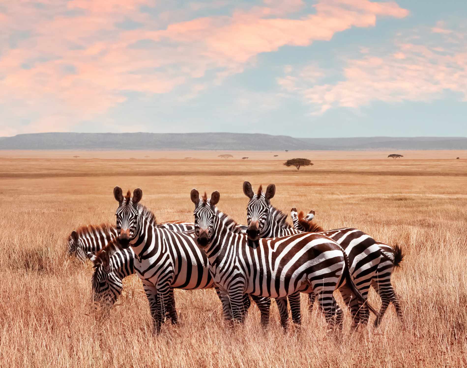 Tanzania: A Place to Start a New Life with Adventure Travel