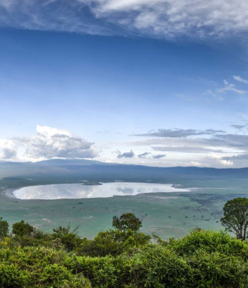 Ruaha National Park