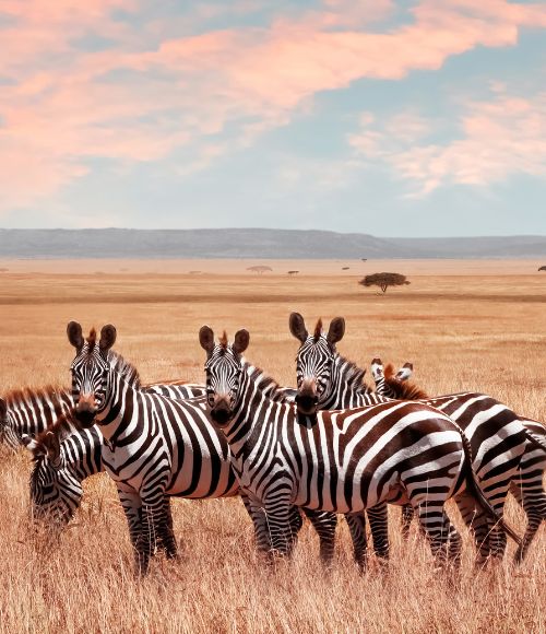 Serengeti National Park